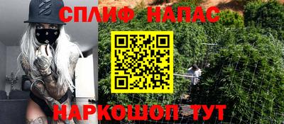 ECSTASY Майкоп