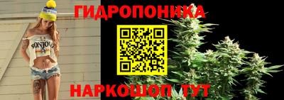 ECSTASY Майкоп