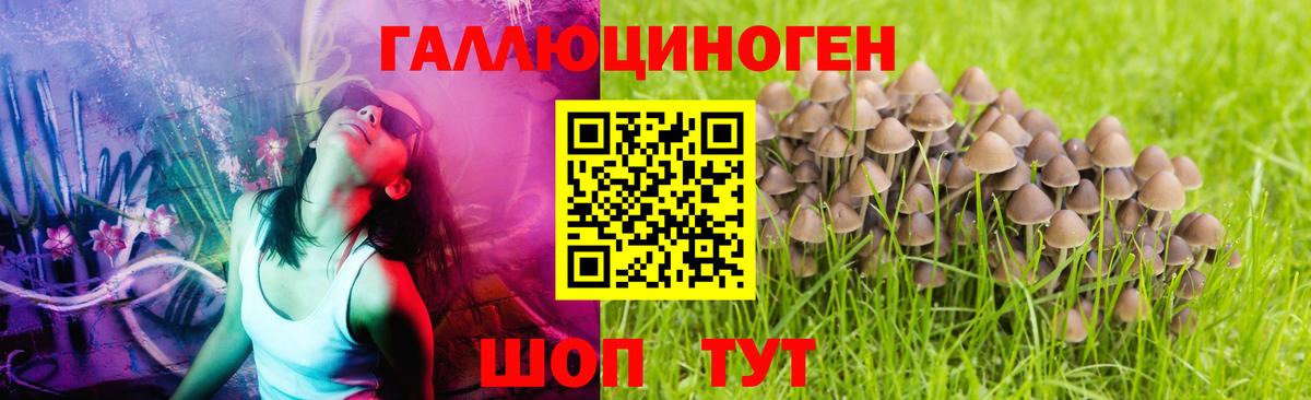 Галлюциногенные грибы GOLDEN TEACHER Клинцы