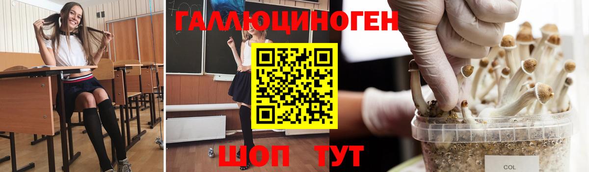 купить наркотики цена  Галлюциногенные грибы мицелий  Вход с VPN  Псилоцибиновые грибы ЛСД  Клинцы 